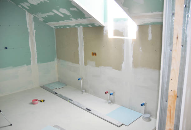  Galena, IL Mold Removal Pros