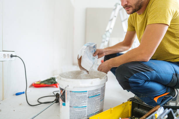 Best Water Damage & Mold Remediation  in Galena, IL