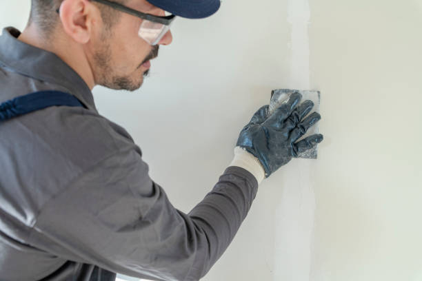 Best Environmental Consulting for Mold Prevention  in Galena, IL