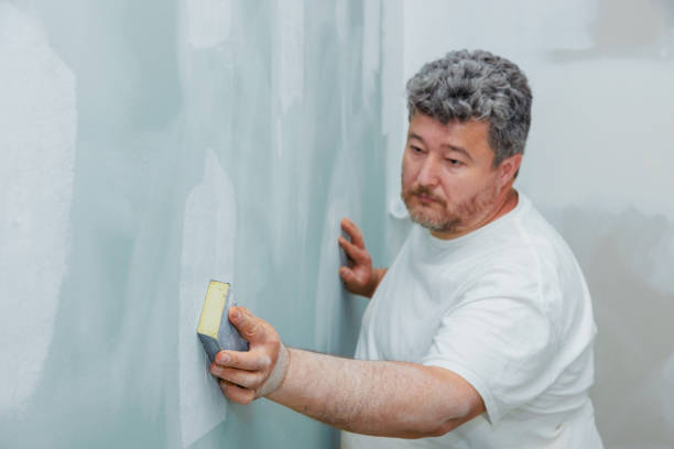 Best Real Estate Mold Inspection  in Galena, IL